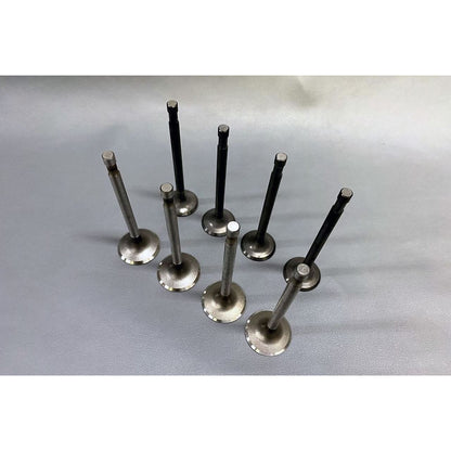 Valve Set CB750