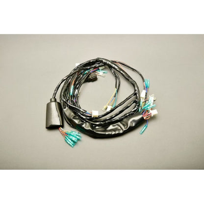 メインハーネス Z750D1