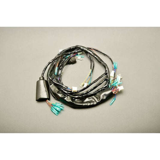 メインハーネス Z750D1