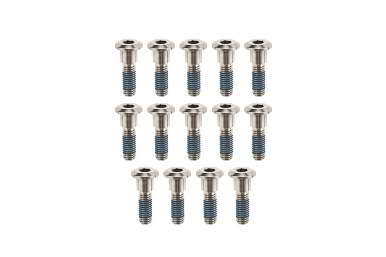 Brake Rotor Bolts Titanium Silver 14 pcs T120 Bobber Thruxton 1200/R/RS