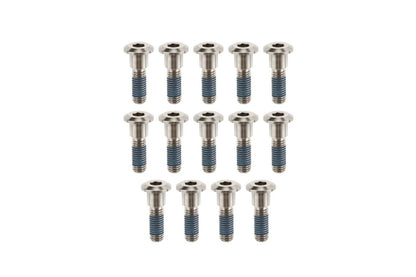 Brake Rotor Bolts Titanium Silver 14 pcs T120 Bobber Thruxton 1200/R/RS