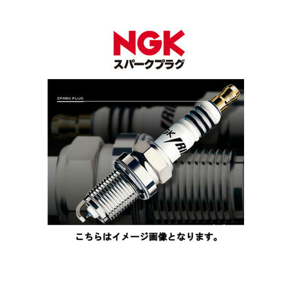 Racing Spark Plugs 4482