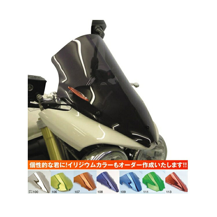 ネイキッドスクリーン TRIUMPH StreetTriple(08-11) イリジウムシルバー