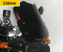 ネイキッドスクリーン スモーク BMW F800R(10-12)