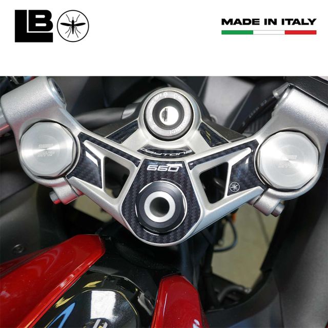 3D Sticker Set Carbon Print/Red DAYTONA660