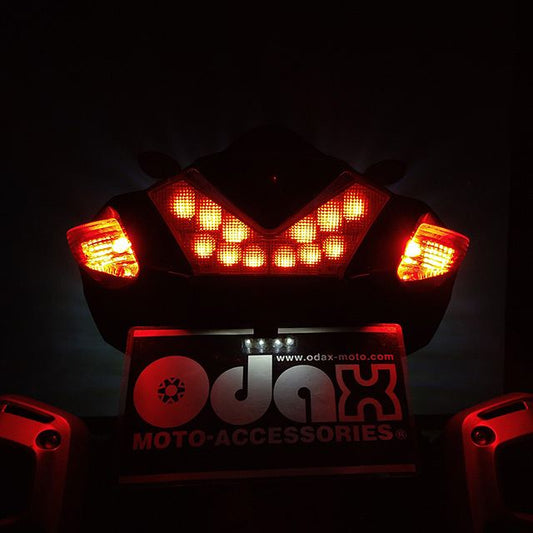 LEDバックフォグキット ver.2 純正レンズ使用 ZZR1400