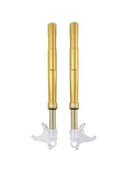 Front Fork FGRT236 CBR1000RR-R 20-21