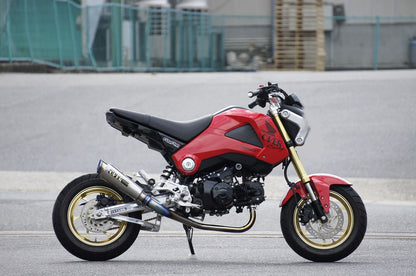 GP Performance Titanium/DOWN RS-R GROM 13-15 1 pc.