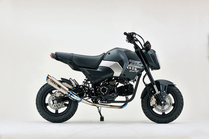 GP-PERFORMANCE フルチタン RS-R GROM 1個