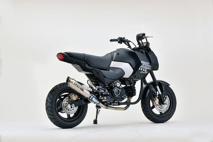GP-PERFORMANCE フルチタン RS-R GROM 1個