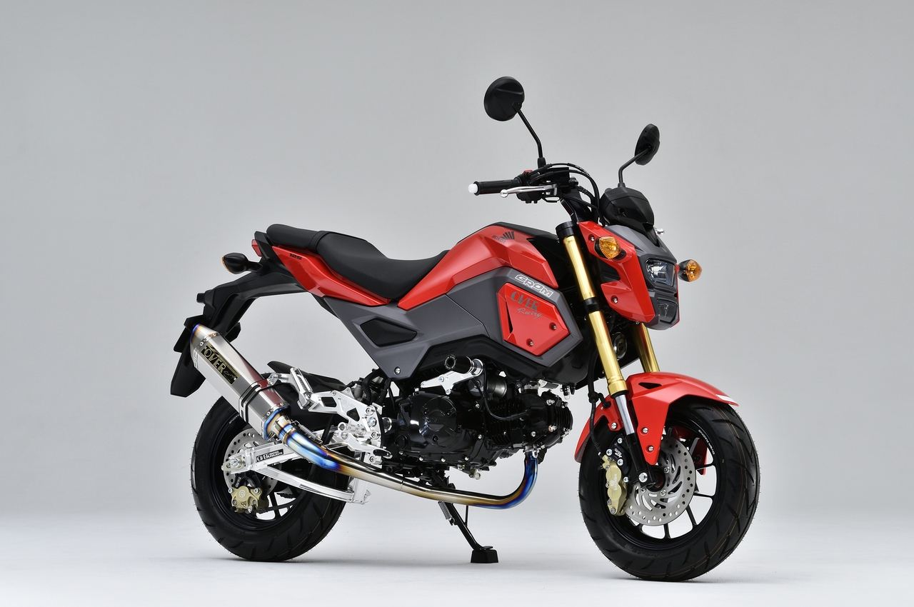 TT-Formula RS フルチタン GROM 16-/13-15 1個