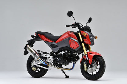 TT-Formula RS フルチタン GROM 16-/13-15 1個