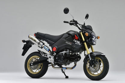 TT-Formula RS フルチタンUPタイプ GROM 13-15 1個