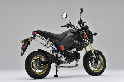 TT-Formula RS フルチタンUPタイプ GROM 13-15 1個