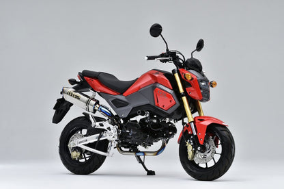 TT-Formula RS フルチタンUPタイプ GROM 16/17-20 1個