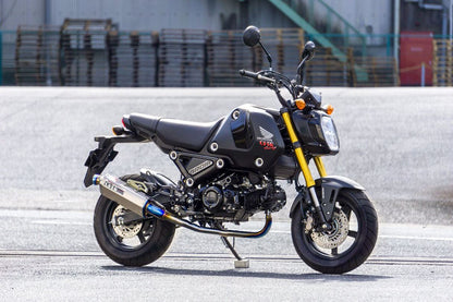 TT-Formula フルチタン GROM 21-22 1個
