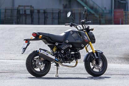 TT-Formula フルチタン GROM 21-22 1個