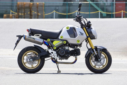 TT-Formula RS アップ フルチタン GROM 21-22 1個