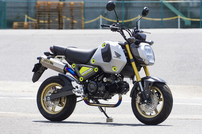 TT-Formula RS アップ フルチタン GROM 21-22 1個