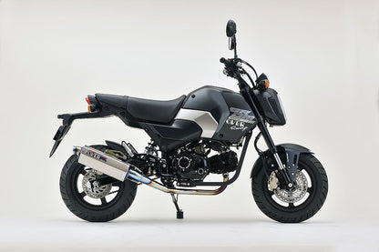 TT-Formula GROM(23/24-) チタン 1個