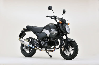 TT-Formula GROM(23/24-) チタン 1個