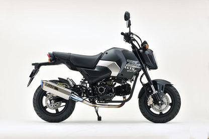 TT-Formula RS GROM(23/24-) チタン 1個