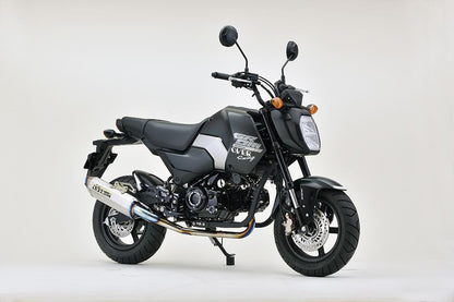 TT-Formula RS GROM(23/24-) チタン 1個