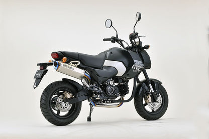 TT-Formula RS UP GROM(23/24-) チタン 1個