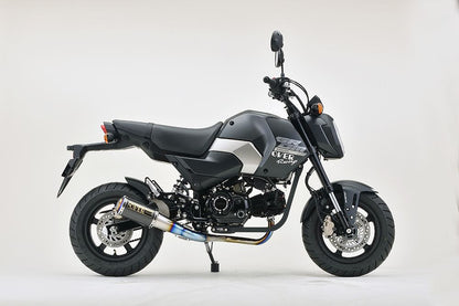 GP-PERFORMANCE XL GROM(23/24-) チタン 1個