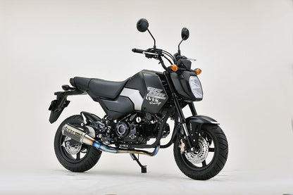 GP-PERFORMANCE XL GROM(23/24-) チタン 1個