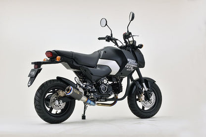 GP-PERFORMANCE XL GROM(23/24-) チタン 1個