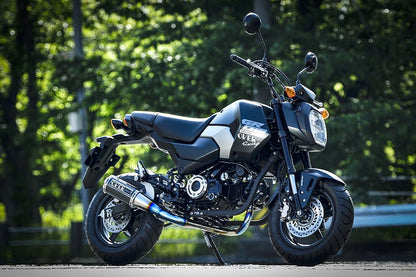 GP-PERFORMANCE XL GROM(23/24-) チタン 1個