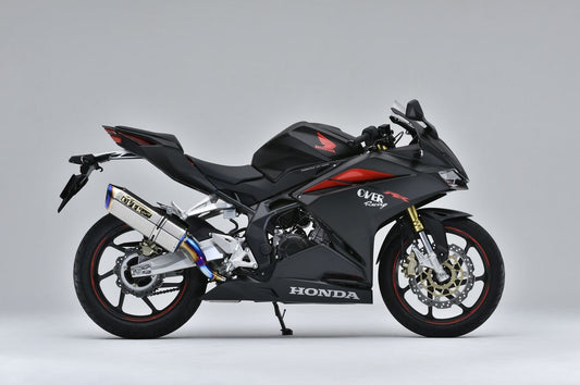 TT-Formula RS フルチタン S/O CBR250RR 1個
