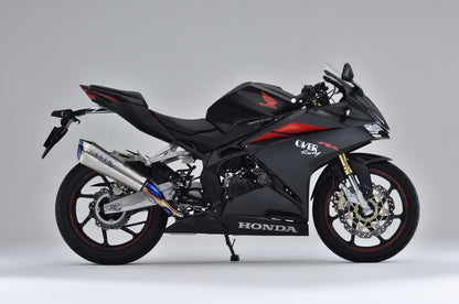 TT-Formula RS+PRO チタン S/O CBR250RR 17-19 1個