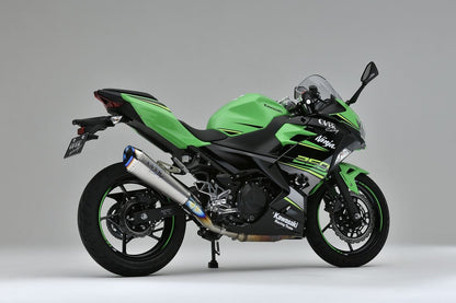 TT-Formula RS+PRO チタン S/O Ninja250 18-22 1個