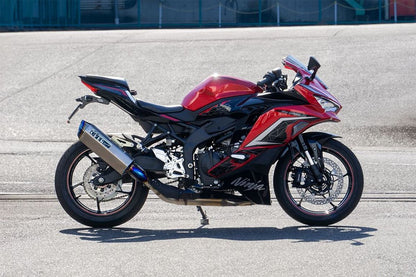 TT-Formula RS S/O ZX-25R/SE(23-)/ZX-4R/RR(23-) チタン 1個