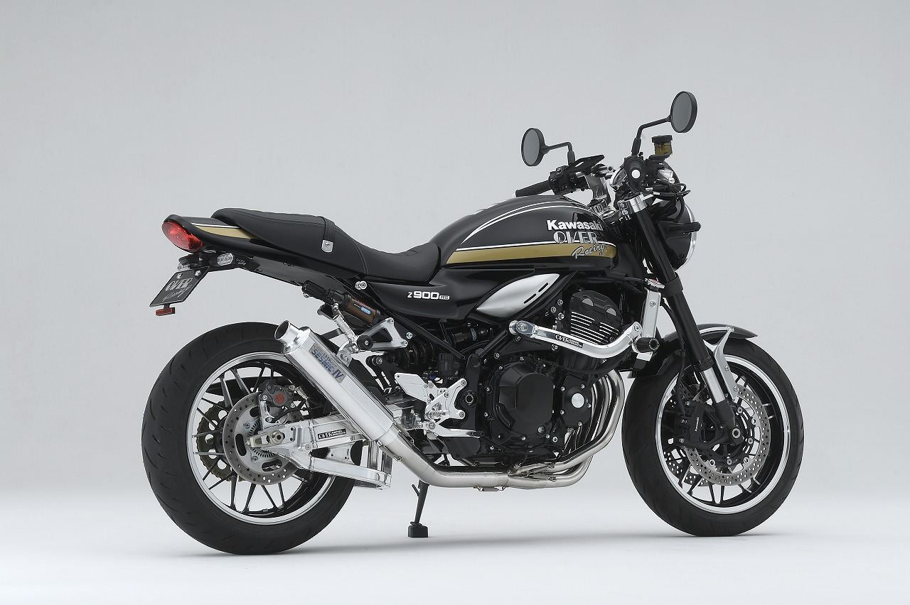 SESMIC-IV Z900RS 23- ポリッシュ 1個