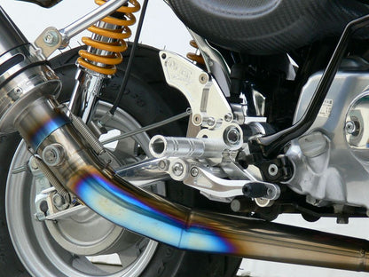Rear Sets 3-Position Monkey (Drum) Silver Anodized Finish 1 pc.