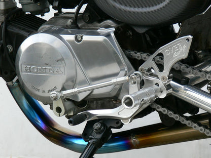 Rear Sets 3-Position Monkey (Drum) Silver Anodized Finish 1 pc.
