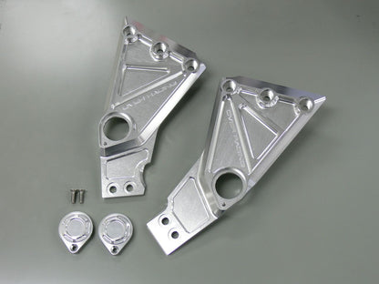 Pivot Plate Cover ZEPHYR1100 Silver Anodized Left and Right Set