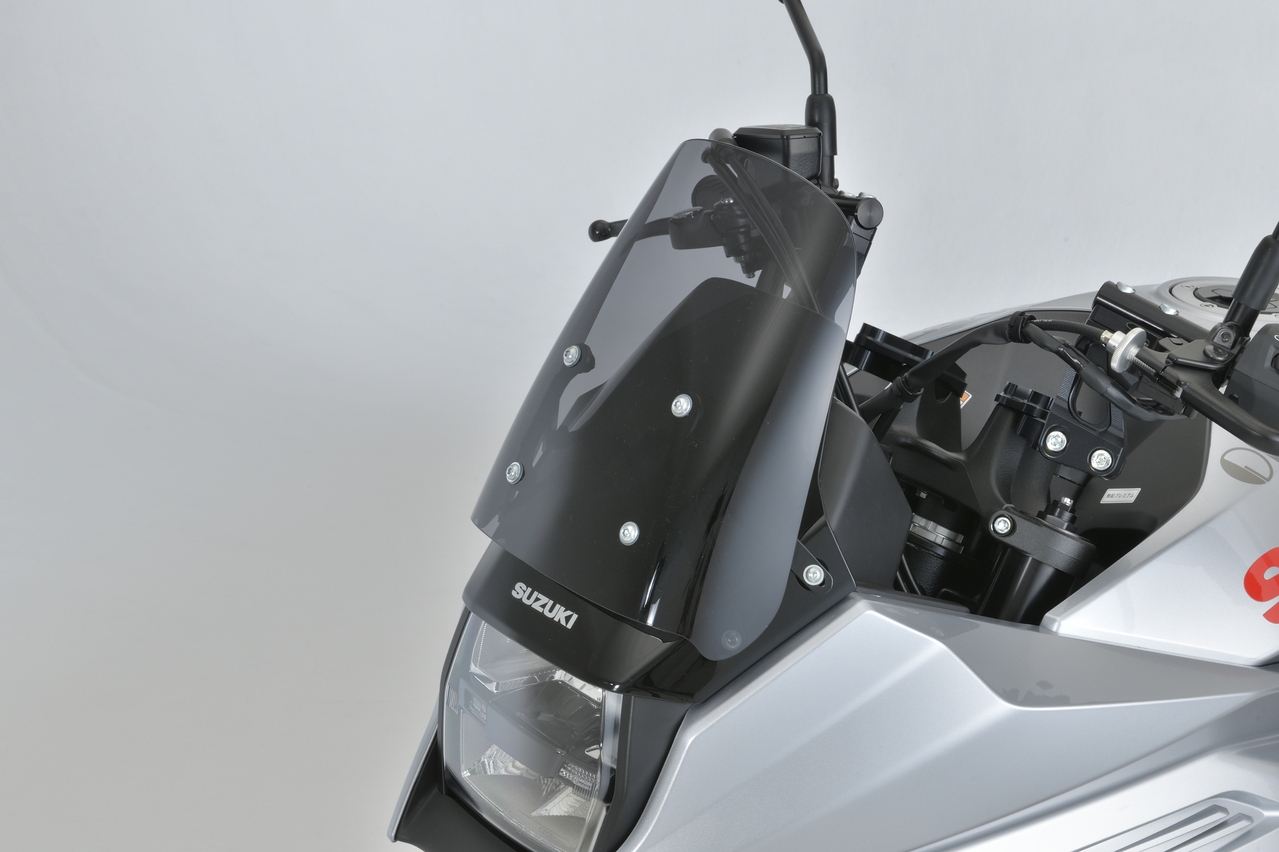 Screen Kit KATANA 19-21 1pc