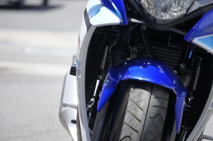 Racing Sliders SIL GSX250R Silver Left and Right Set