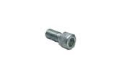 Backplate Screw for Air Cleaner (1 pc.)