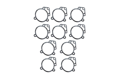 Backplate Gasket, E/G Carburetor, 10-piece set