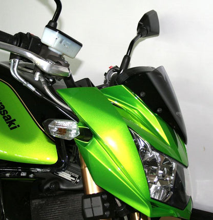 スクリーン オリジナル ブラック 幅210×長さ200mm Z750R