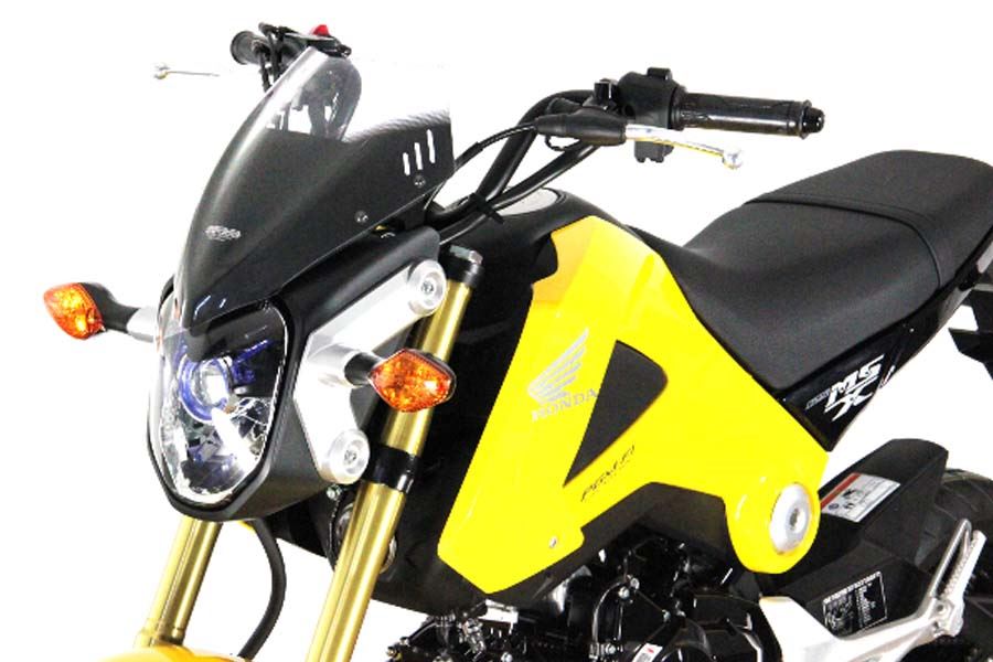 Screen Racing Clear 250mm x 300mm for GROM 125