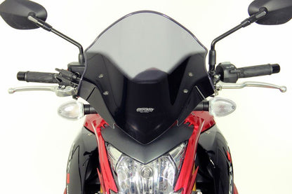 Screen Touring Smoke GSX-S1000