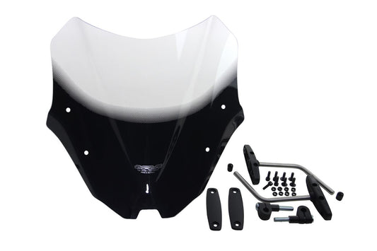 スクリーン レーシング クリア 幅320×長さ290mm ストリートファイターV4/S