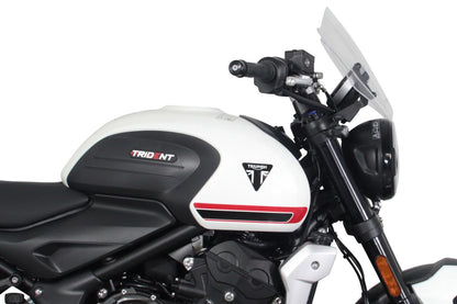 スクリーン スポーツ クリア 幅320×長さ300mm トライデント660