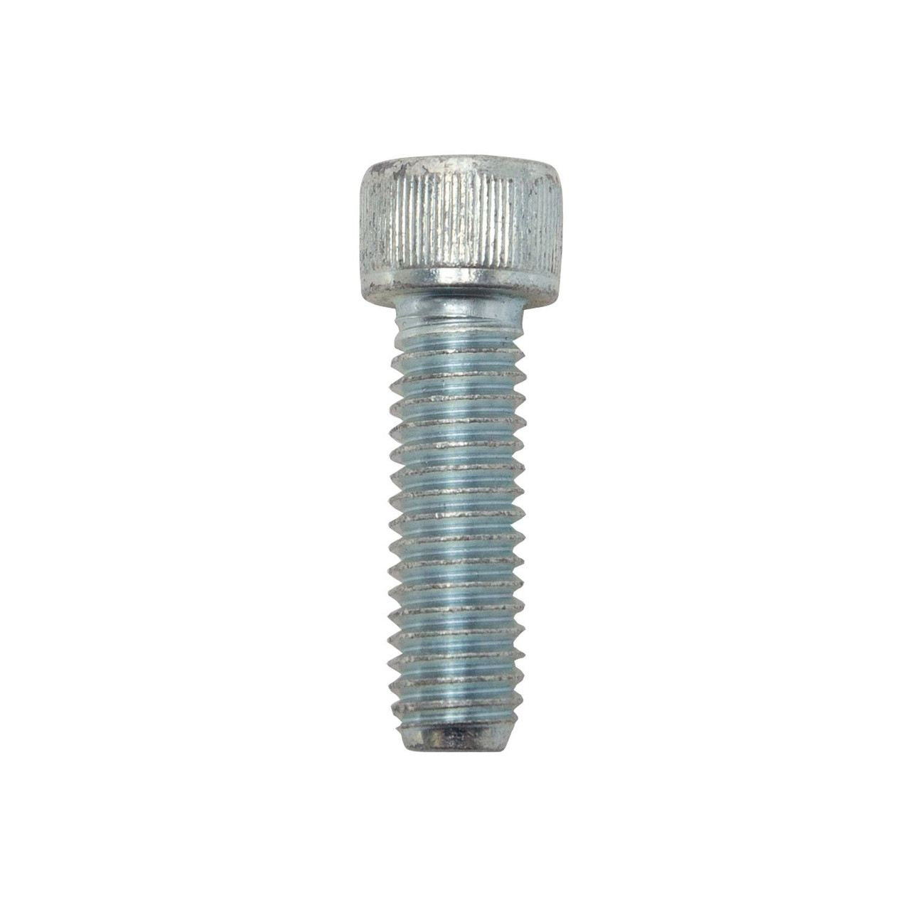 Allen Head Bolt, 1 pc, Universal